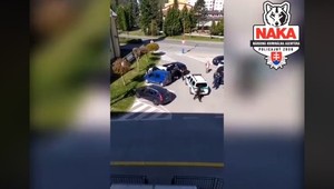 Mimoriadny zásah NAKA: Zadržali muža podozrivého z úkladnej vraždy