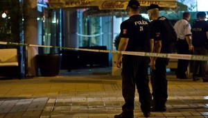 Vraždy 2011: Stalo sa uplynulý rok...