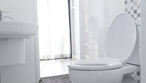 Objavila sa vám krv v stolici? Toto je 8 príčin, ktoré to spôsobujú