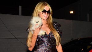 Zhýčkaná Paris Hilton (33): Za noc prehajdákala celý majetok!