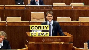 Matovič poslancovi: Ty patríš do basy, ty debil!