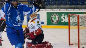 Hustý zostrih: Zvieracia prestrelka