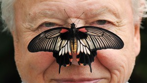 Sir David Attenborough oslavuje 100 rokov. Legendárny prírodovedec zmenil pohľad sveta na prírodu