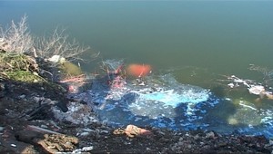 Do chovného rybníka nahádzali vrecia s olovnatou farbou