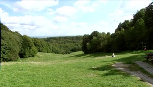 Nelegálna ťažba dreva prekračuje medze, Európska komisia na to ide šalamúnsky