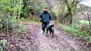 Po žene pátrali celú noc, našli ju v lese v hodine dvanástej