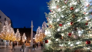 VIDEO: Bratislava sa pripravuje na Vianoce, na Hlavnom námestí stojí 12-metrový stromček