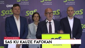 Tlačová beseda SaS ku kauze Fafokan