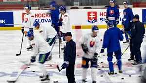 Slováci sa budú musieť zaobísť bez podpory, príde ale ďalší hráč