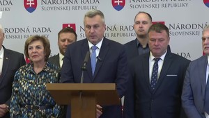 Tlačová beseda strany SNS k aktuálnej politickej situácii