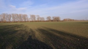 Možno už o pár dní polícia vykope telo obávaného mafiána Niguta. Jeho vrah ukázal na ilegálny hrob