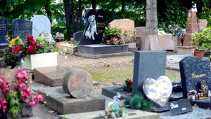 Rozlúčka so zvieraťom: Pozor, kde ho pochováte!