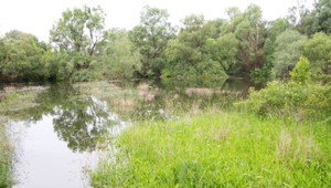 Na mŕtve telo ženy v rieke Morava upozornili policajtov rakúski kolegovia