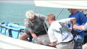 Svet 24 o gruzínskom národnom poklade, ale aj o šerifke na boj s potkanmi