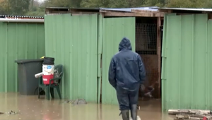 Povodne ruinujú francúzskych farmárov. Očakávajú aj šírenie chorôb