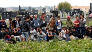 Ekonomický migrant sa od utečenca na prvý pohľad rozoznať nedá