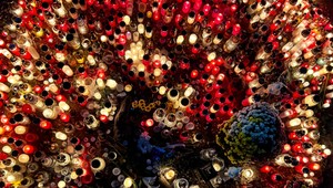 Šéfka bratislavskej okresnej prokuratúry odstúpila pre nesprávny postup po tragickej nehode na Zochovej