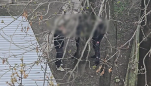 Bratislava bije na poplach: Mesto žiada vládu o riešenie rastúcej kriminality