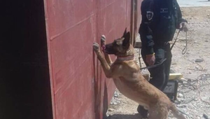 Na Slovensku objavili zrejme najväčší kontraband drog za posledné roky