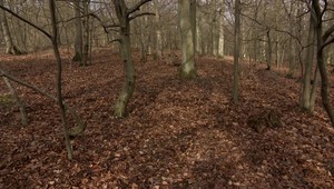 Vydrica sa stala prírodnou rezerváciou, turistov ale naďalej víta