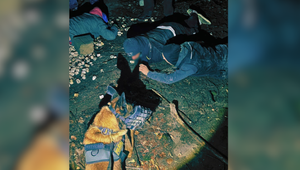 Pri chytení trojice zlodejov v Dubovej asistoval aj policajný pes Max