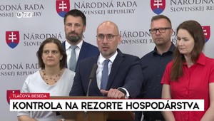 Tlačová beseda SaS k aktuálnym témam