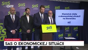Tlačová beseda: SaS o ekonomickej situácií
