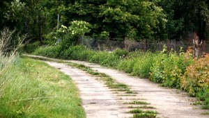Okolo smrti 33-ročného Jána z Mlynice je veľa pochybností. Svedok ale tvrdí, že telo bolo určite jeho