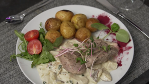 Hlavné jedlo: Mliečniak