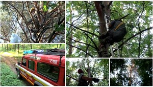 Záchranná akcia pri Novom Meste nad Váhom. Paraglajdista uviazol na strome