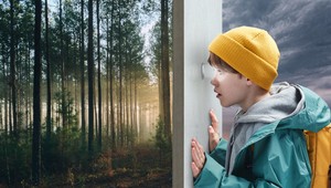 Ako sa každý jeden z nás môže reálne pričiniť o záchranu slovenských lesov