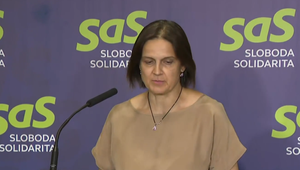 Tlačová beseda strany SaS o aktuálnych témach