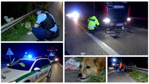Cyklista zázrakom prežil zrážku s kamiónom. Jeho pes ho po nehode chránil