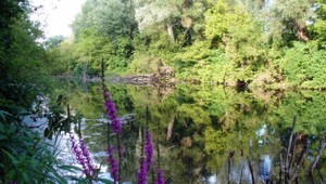 Zásoby pitnej vody na Žitnom ostrove ohrozujú splašky z domácností