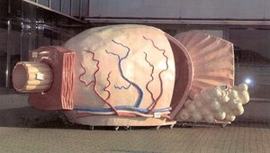 Mužov môže pred biopsiou prostaty uchrániť jednoduchý test moču