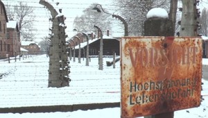 Židia sa hanbia za pasivitu počas holokaustu, myslí si poradca poľského prezidenta