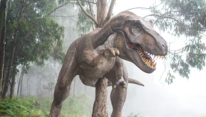 Dokázali 30-metrov vysoké a 100-tonové dinosaury lietať? Nad záhadným objavom visí množstvo otáznikov