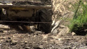 Zákony si odporujú, ochranári zúria a polícia má na stole vyše 20 trestných oznámení. Aj takto vyzerá nelegálny výrub stromov