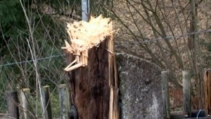 Na východe vyrúbali drevené telekomunikačné stĺpy