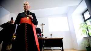 V cirkvi sa už upratuje, tvrdí kardinál Tomko (88)