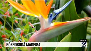 Check-in: Rôznorodá Madeira