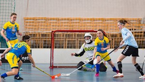 Florbal pôjde po futbalovom vzore. Zatiaľ čaká a vystavil nový dátum