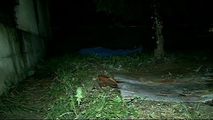 Smrť si ho našla v kríkoch