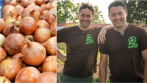 Viete, ako sa správne sadí cibuľa sadzačka? Návod, s ktorým to zvládne aj začiatočník!