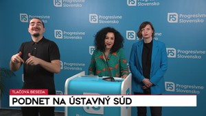 Tlačová beseda strany PS: Podnet na Ústavný súd