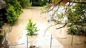 ONLINE. O komároch bude hovoriť medzirezortný tím