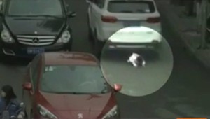 VIDEO: Dievčatko prešli dve autá. Akoby zázrakom prežila