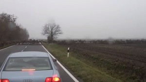 VIDEO: Uprostred jazdy museli zastaviť. Cestu im skrížilo množstvo jeleňov