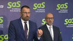 Tlačová beseda SaS o cenách palív