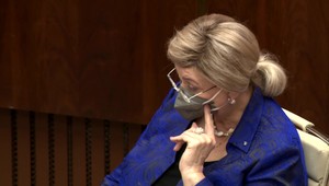 Zákon o interrupciách vyvolal v parlamente búrlivú debatu: Poslanci sa obviňovali z tuposti, drzosti a mnohých ďalších vecí